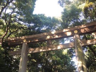 DSCN5765.JPG