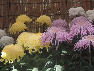 DSCN5777.JPG