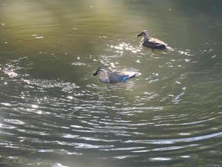 DSCN5839.JPG
