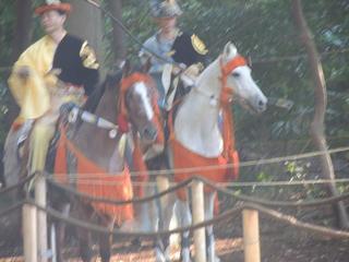 DSCN5891.JPG