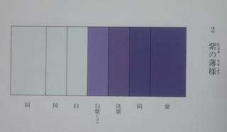 murasaki.jpg